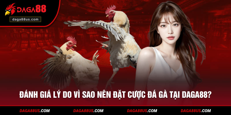 Đánh giá những điểm lợi hấp dẫn hội viên từ DAGA88